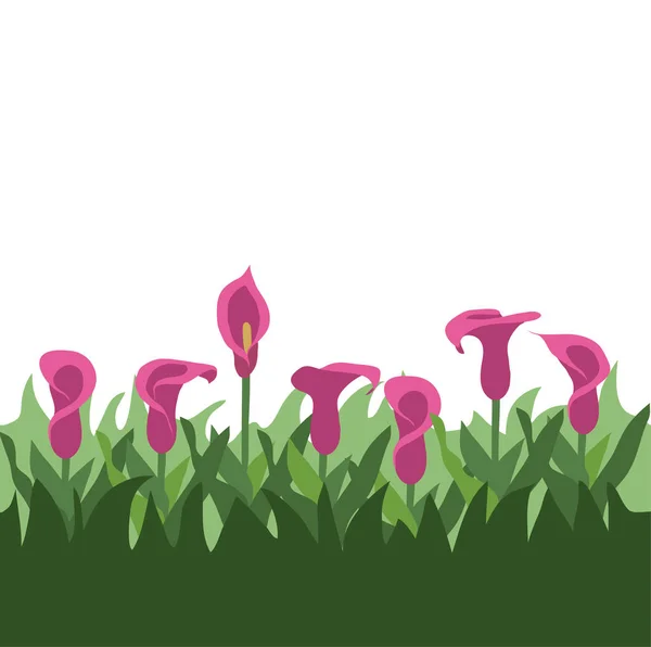 Flamingo Flores Vector Ilustración — Archivo Imágenes Vectoriales