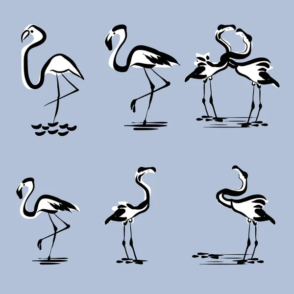 Flamingo Birds Poses Vector Illustration — стоковый вектор