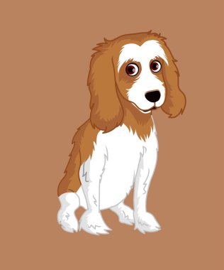 Cocker Spaniel Vektör İllüstrasyonu
