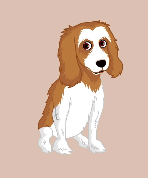 Şövalye Kral Charles Spaniel Köpek Oturuyor — Stok Vektör