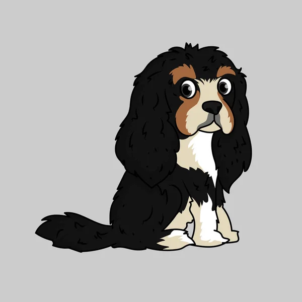 Cavalier King Charles Spaniel Σκύλος — Διανυσματικό Αρχείο