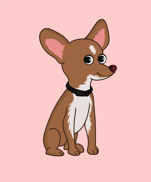 Chihuahua Pes Vektorové Ilustrace — Stockový vektor