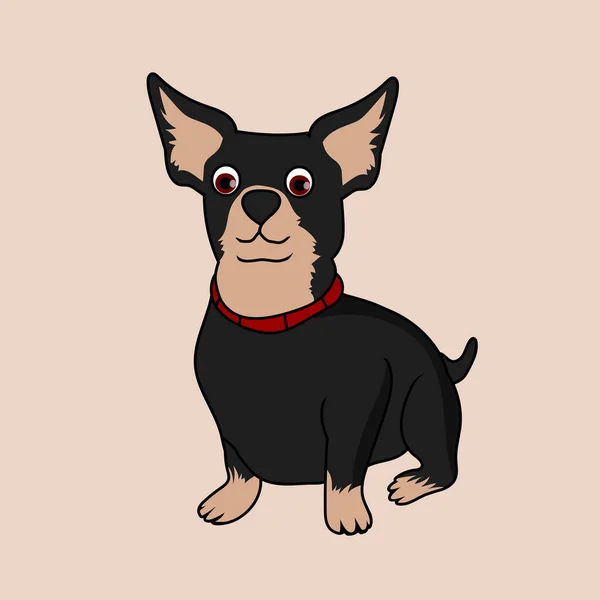 Chihuahua Geïsoleerd Witte Achtergrond — Stockvector