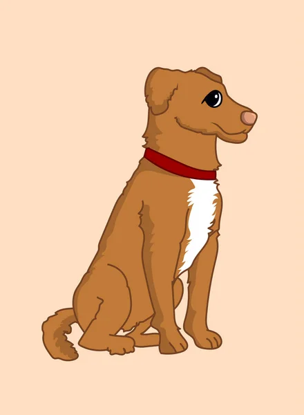 Hund Vektorillustration Isolerade — Stock vektor