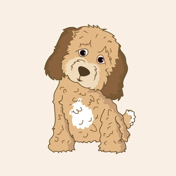 Pequeño Perro Caniche Vector — Vector de stock