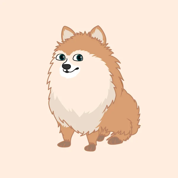 Pomeranian Dog Illustration Vector — ストックベクタ