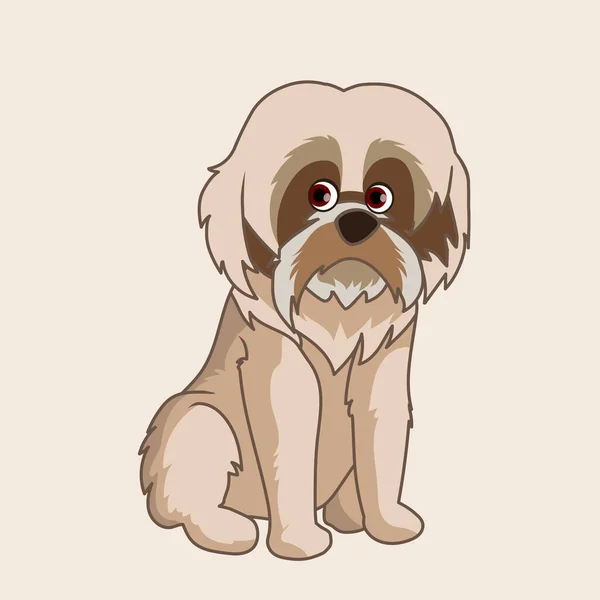 Shih Tzu Desenho Animado Ilustração — Vetor de Stock