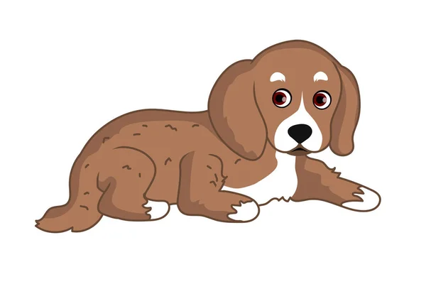 Beagle Perro Acostado Suelo — Vector de stock