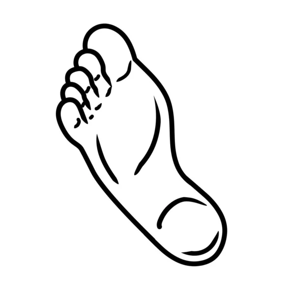 Menschlicher Fuß Line Art Vektor — Stockvektor