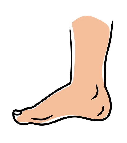 Εικονογράφηση Διάνυσμα Ενός Πόδι Στέκεται Ανθρώπινο Πόδι — Διανυσματικό Αρχείο