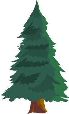 Yeşil yapraklı çam ağacı