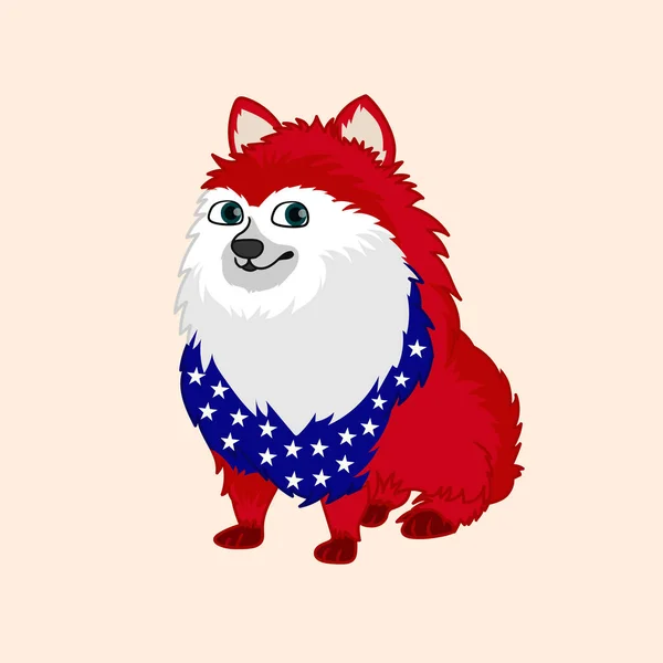 Patriotic Pomeranian Dog Illustration — Stockový vektor