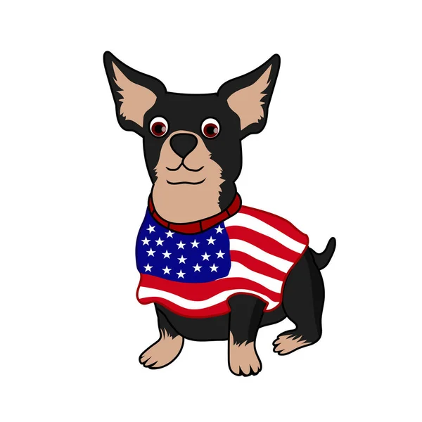 Patriotic Chihuahua Απομονωμένο Λευκό Φόντο — Διανυσματικό Αρχείο