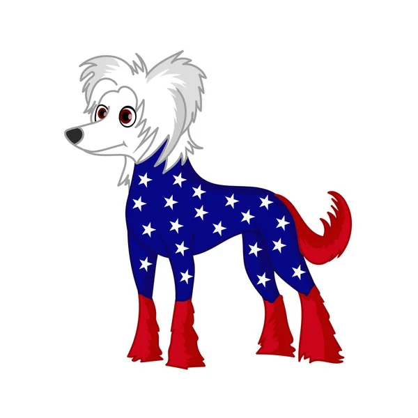 Patriotic Chinese Crested Dog — 스톡 벡터