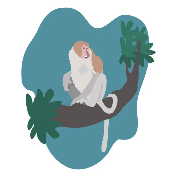 Macaco Probóscide Macaco Nariz Comprido Ilustração — Vetor de Stock