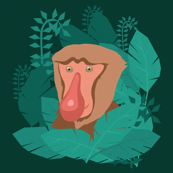 Procis Monkey Face Clip Art — стоковый вектор