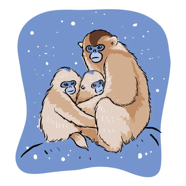 Neve Scimmia Famiglia Illustrazione — Vettoriale Stock