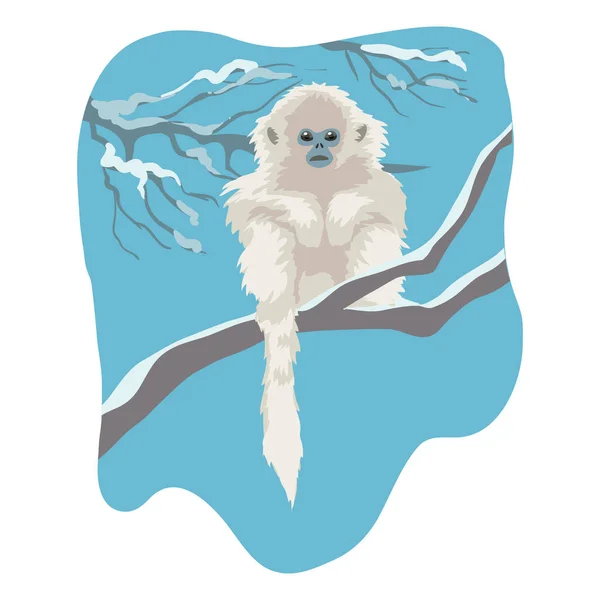 Neve Scimmia Illustrazione Vettore — Vettoriale Stock