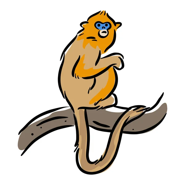 Zlatý Lev Tamarin Opice Klip — Stockový vektor