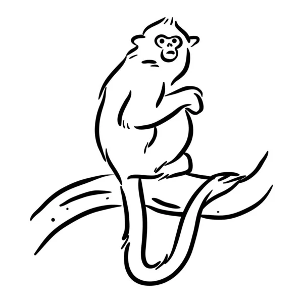 Golden Lion Tamarin Monkey Line Art — стоковый вектор