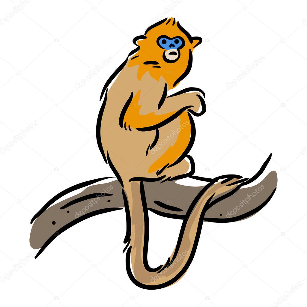 Golden Lion Tamarin- monkey- clip art.