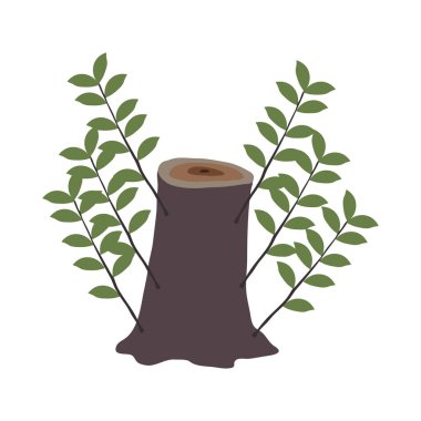 Ağaç kütüğünde yeni dallar yetişiyor