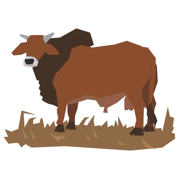 Bull Vector Illustration Isolated — Stock Vector