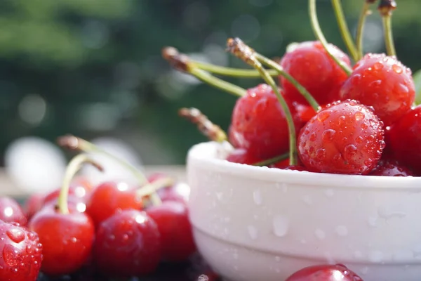 Cherry Fruit Stock Photo Isolated White Background — Stockfoto