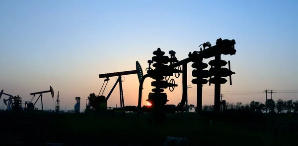 Field Oil Pipeline Evening Evening Oil Pipeline Silhouette — Foto Stock