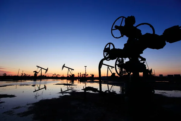 Campo Petrolífero Oleoducto Por Noche Silueta Del Oleoducto Fotos de stock libres de derechos