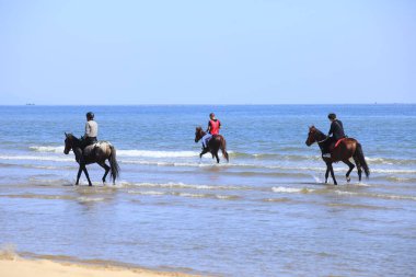 Sahilde dörtnala koşan yarış atı ve jokeyi, sahilde yarışan yarış atları ve jokeyleri