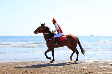 Sahilde dörtnala koşan yarış atı ve jokeyi, sahilde yarışan yarış atları ve jokeyleri