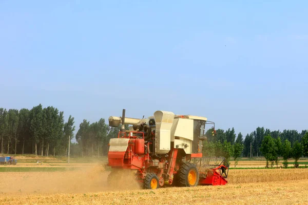 Moissonneuse Batteuse Travaillant Sur Champ Blé Une Moissonneuse Batteuse Moissonneuse — Photo