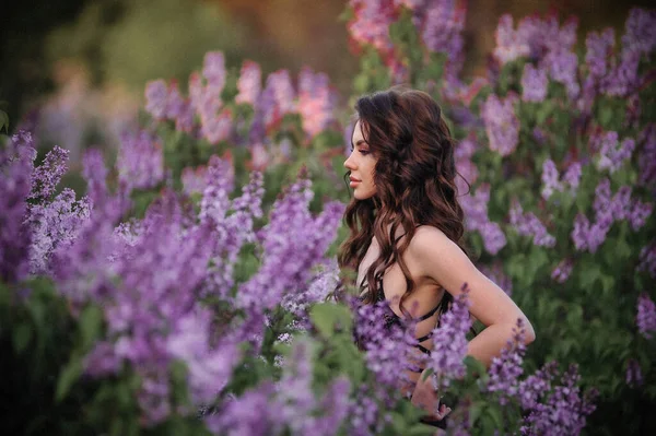 Vacker Ung Kvinna Ett Fält Lavendel — Stockfoto