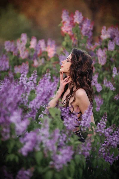 Beautiful Young Woman Long Hair Purple Dress Field Lavender Flowers — Stockfoto