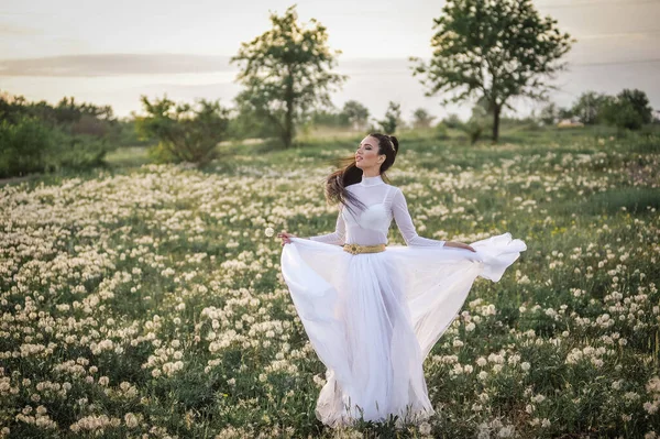 Beautiful Bride White Dress Wreath Flowers Field — стоковое фото