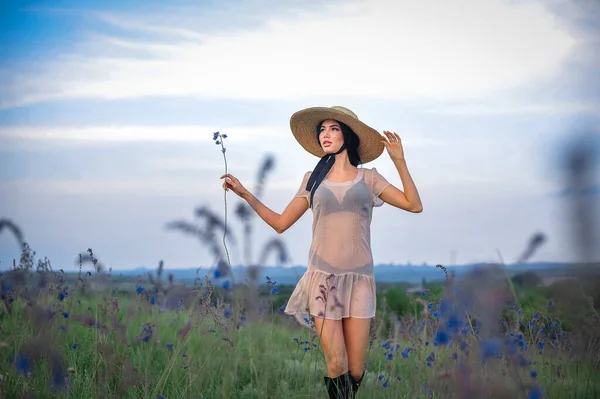 Joven Hermosa Mujer Campo Girasoles —  Fotos de Stock