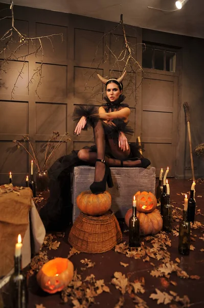 Halloween Witch Pumpkin Lantern — стоковое фото