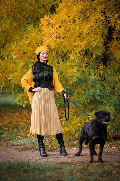 Ung Kvinna Med Hund Höstskogen — Stockfoto