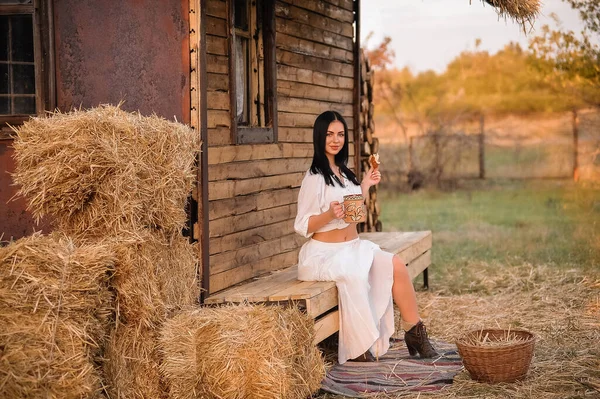 Beautiful Young Woman Straw Hat Sits Haystack Wheat Field — Stok fotoğraf