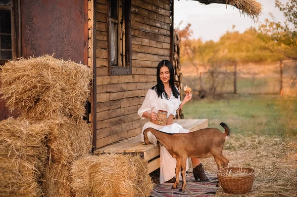 Mujer Joven Con Perro Sus Manos — Foto de Stock