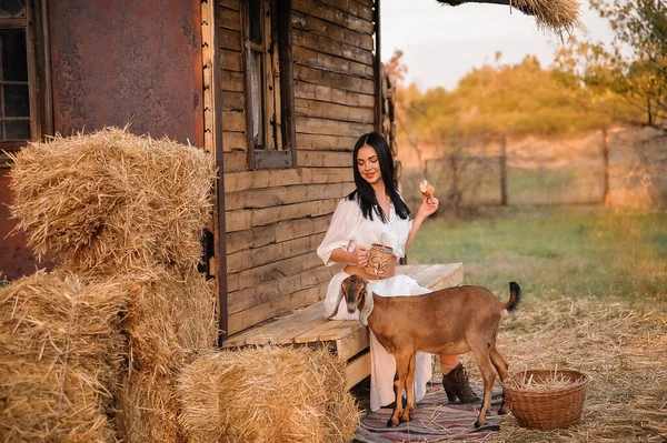 Giovane Donna Con Cane Campagna — Foto Stock