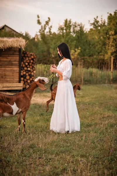 Parkta Köpeği Olan Güzel Bir Kadın — Stok fotoğraf