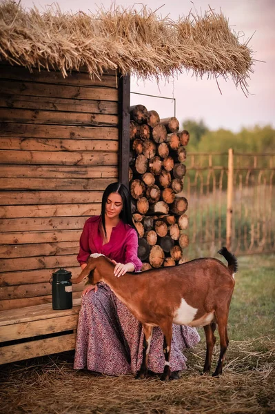 Piękna Młoda Kobieta Koniem Rękach — Zdjęcie stockowe