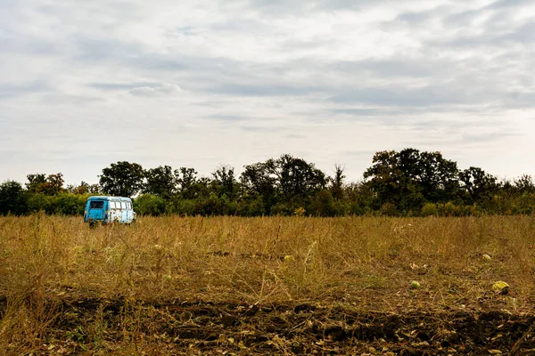 Bulutlu gökyüzü arka planı ve ormanı olan bir karpuz tarlasında eski bir kırsal bebek mavi renkli araba.