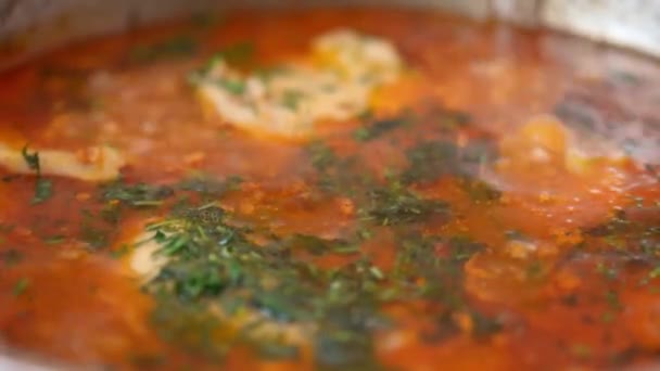 焼きたての赤ボルシチ煮 ウクライナ料理 クローズアップ 選択的フォーカス フィールドの浅い深さ — ストック動画