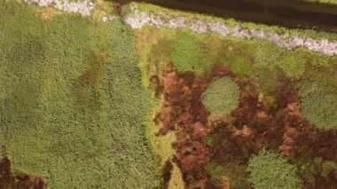 Sonbaharda tarım arazilerinin ve tarlaların insansız hava aracı görüntüleri. Çiftçilik ve sulama kanalları