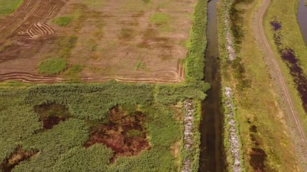 Luchtfoto van irrigatiekanalen en -velden in de herfst — Stockvideo