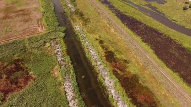 Drone, vista aérea dos canais de irrigação — Vídeo de Stock
