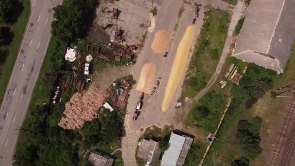 在摩尔多瓦和乌克兰之间一个未获承认的共和国的农业企业的仓库里 一个装有小麦 谷物和谷物的仓库的空中景观 Fps — 图库视频影像